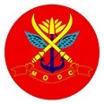 Logo 12